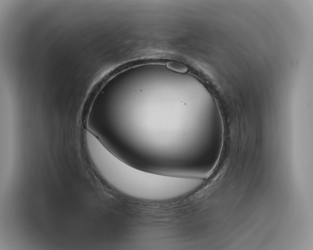 X0000116381267200912021512