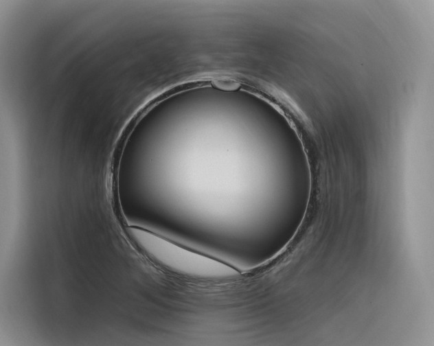 X0000116381268200912021512