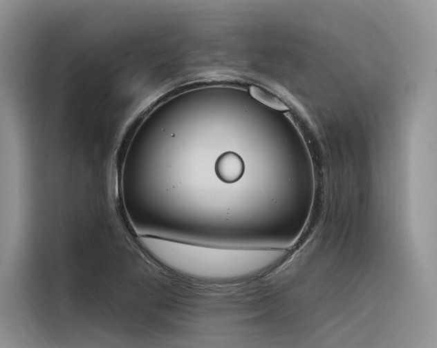X0000116381269200912021512
