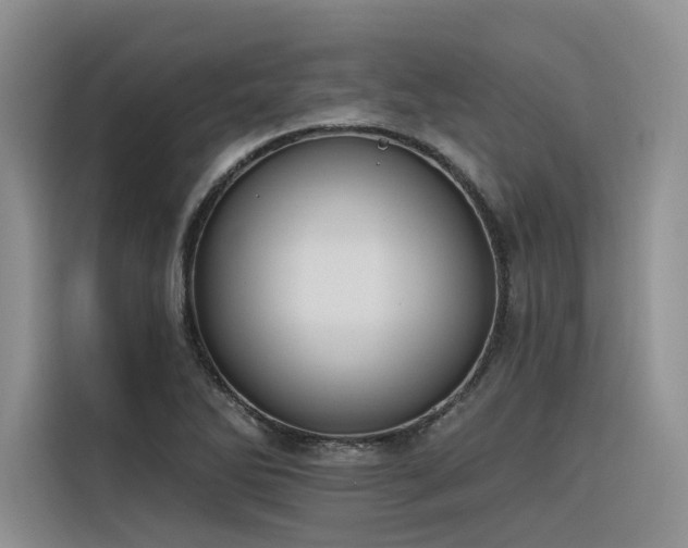 X0000116381270200912021512