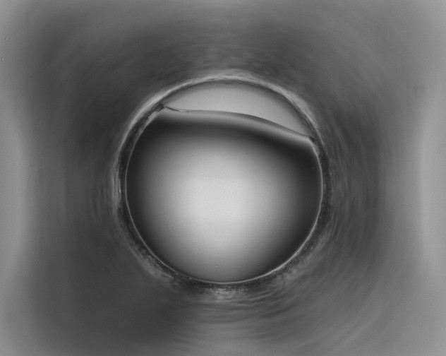 X0000116381271200912021512