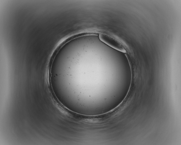 X0000116381272200912021512
