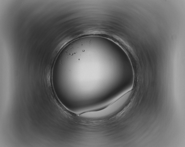 X0000116381273200912021512