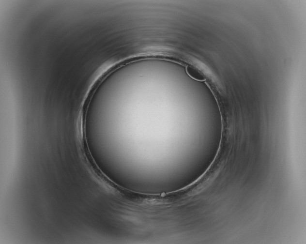 X0000116381275200912021512