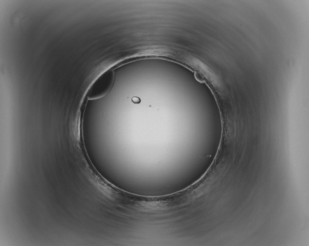 X0000116381276200912021512
