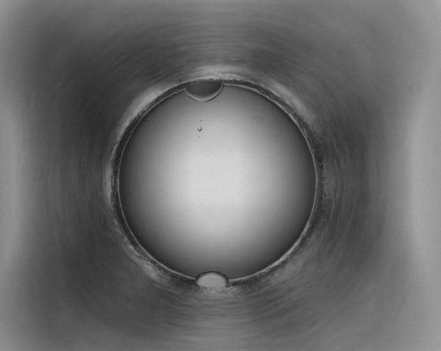 X0000116381277200912021512