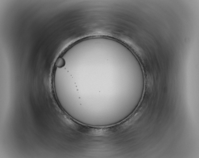 X0000116381278200912021512