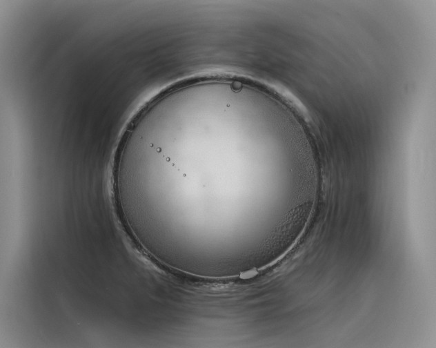 X0000116381279200912021512