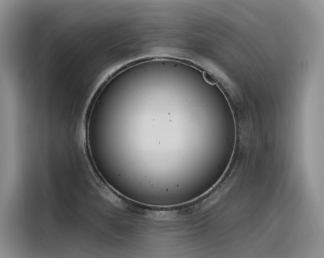 X0000116381280200912021512