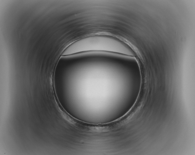 X0000116381281200912021512