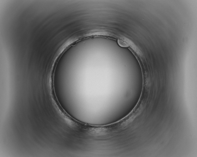 X0000116381282200912021512