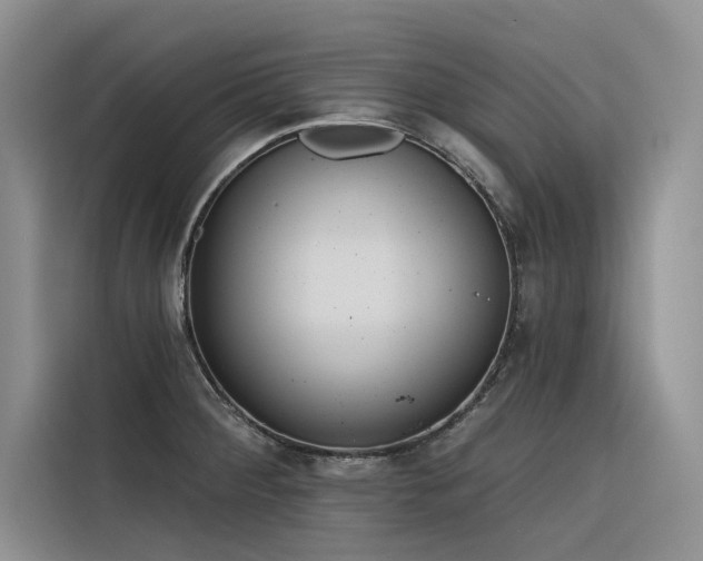X0000116381284200912021512