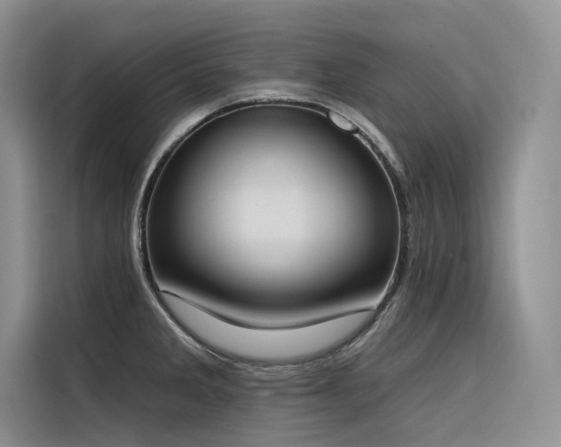 X0000116381285200912021512