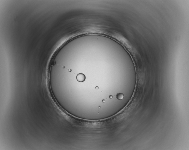 X0000116381286200912021512