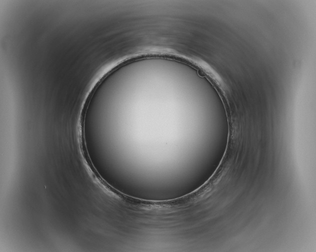 X0000116381287200912021512