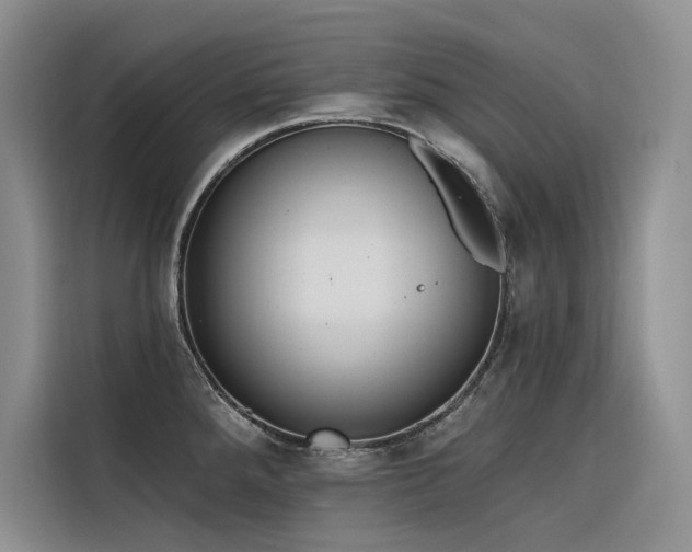 X0000116381288200912021512