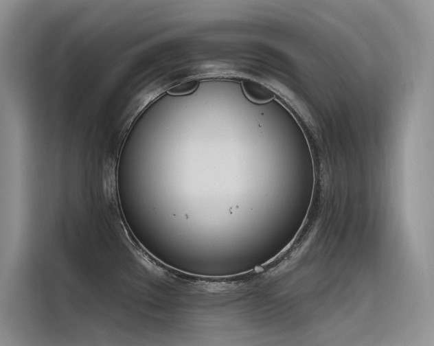 X0000116381289200912021512