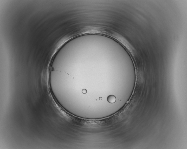X0000116381290200912021512