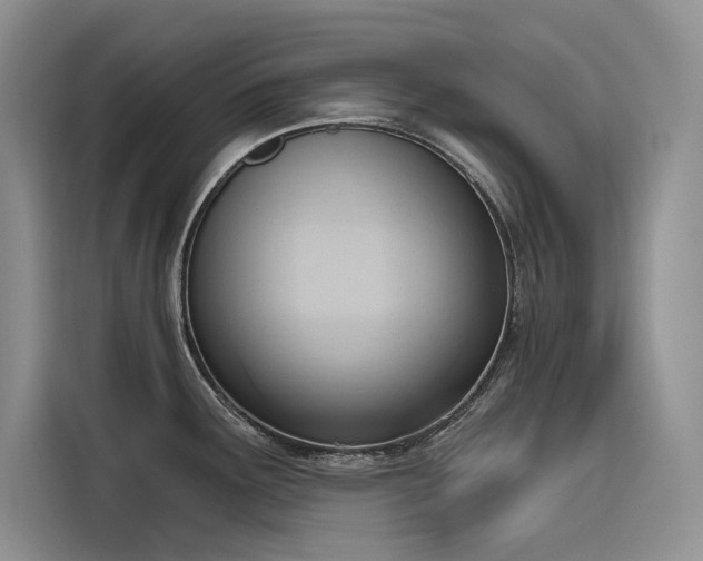 X0000116381291200912021512