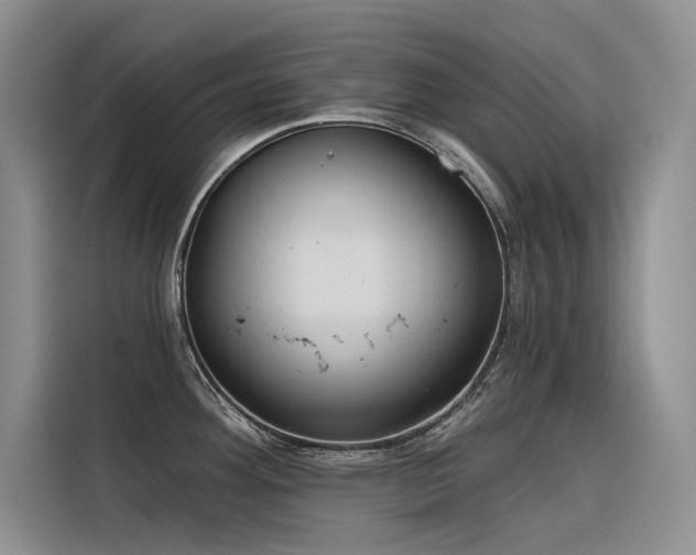 X0000116381292200912021512