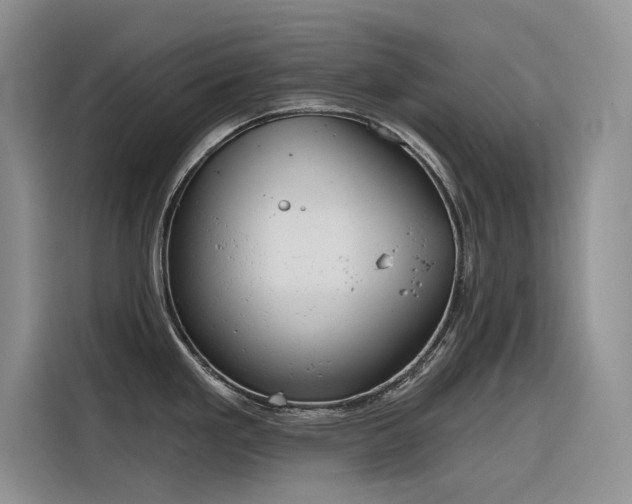 X0000116381293200912021512