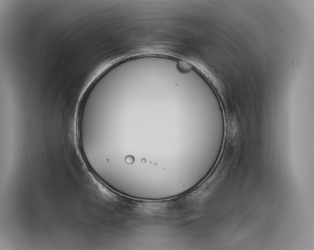 X0000116381294200912021512