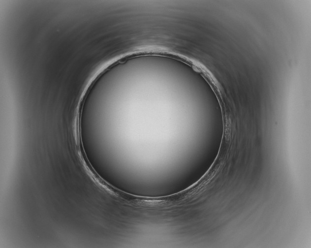 X0000116381295200912021512
