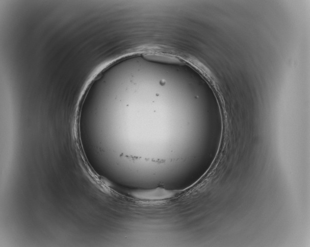 X0000116381296200912021512
