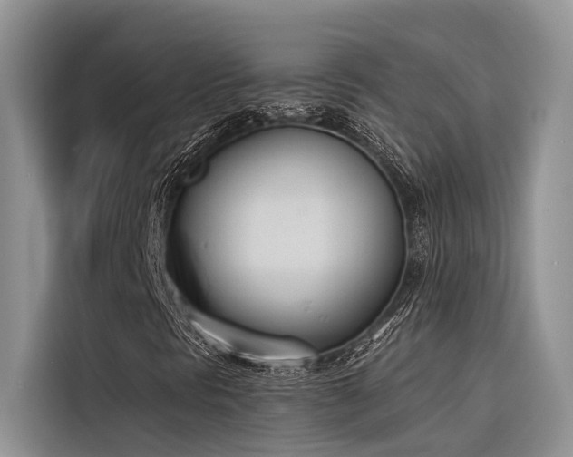 X0000116381297200912021511