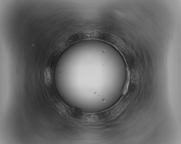 X0000116381298200912021511