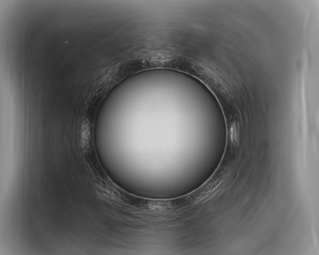 X0000116381299200912021511