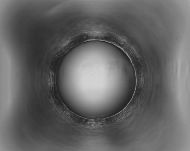 X0000116381301200912021511