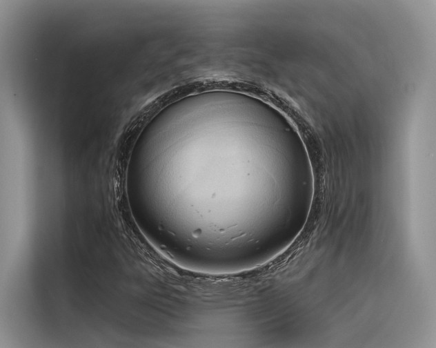 X0000116381303200912021511
