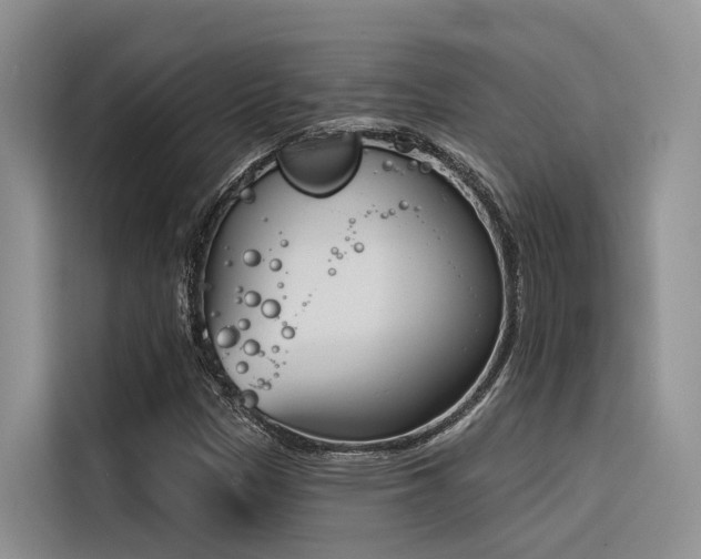 X0000116381305200912021511