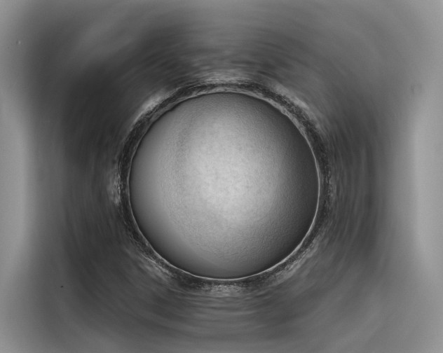 X0000116381306200912021511