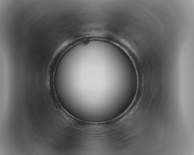 X0000116381307200912021511