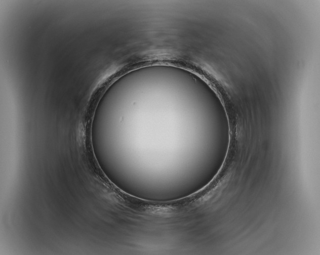 X0000116381309200912021511