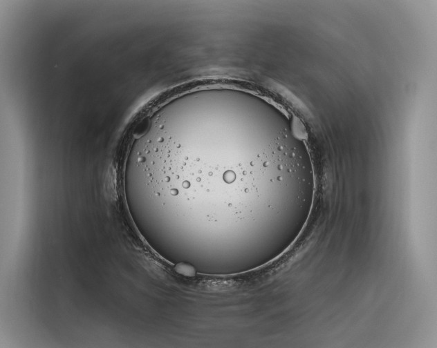 X0000116381310200912021511