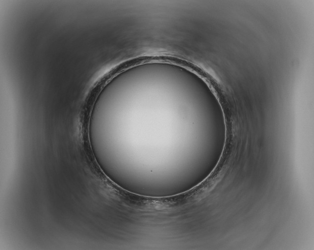 X0000116381311200912021511