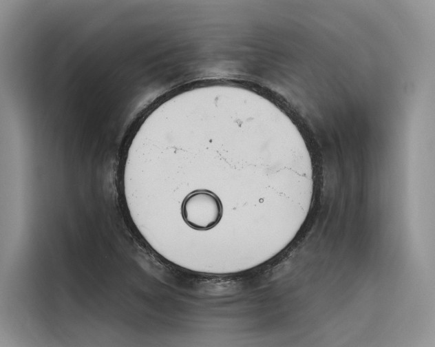 X0000116381314200912021512