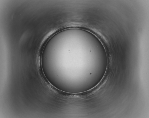 X0000116381317200912021512