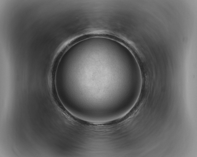 X0000116381319200912021512