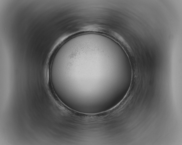 X0000116381323200912021512