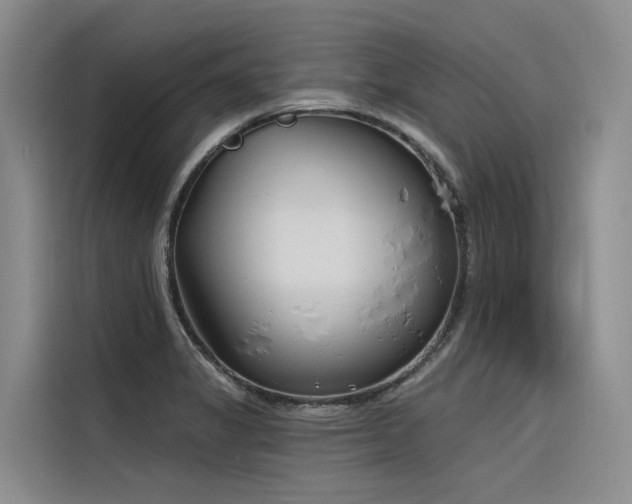 X0000116381325200912021512