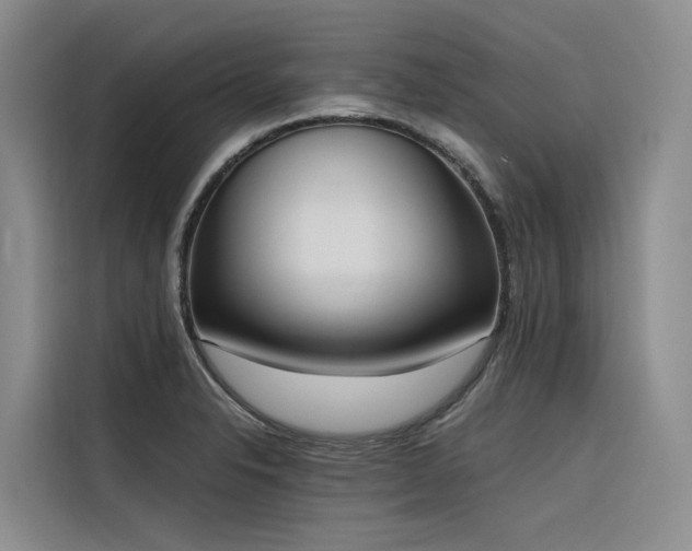 X0000116381326200912021512