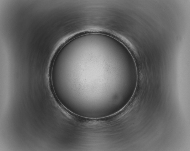 X0000116381327200912021512