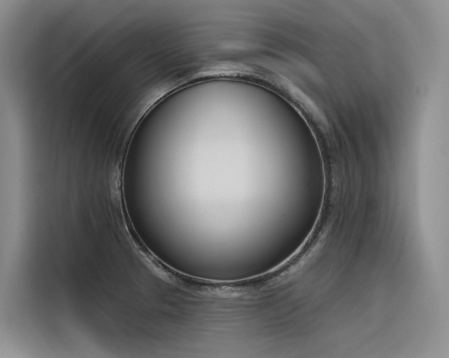 X0000116381329200912021512
