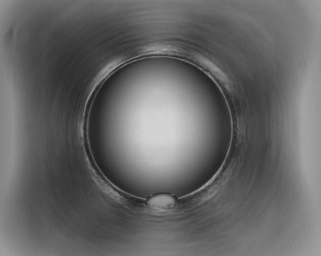 X0000116381330200912021512