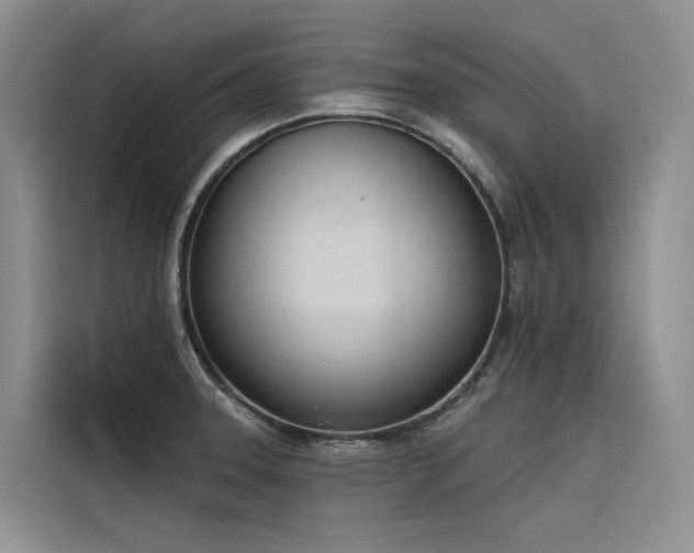 X0000116381331200912021512
