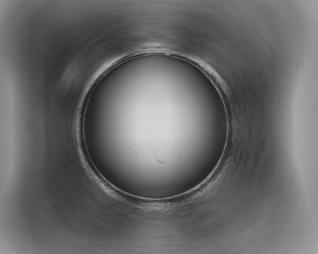 X0000116381333200912021512